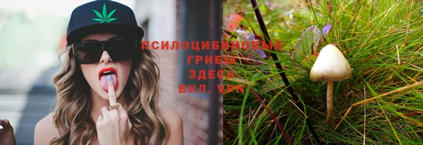 mdpv Михайлов