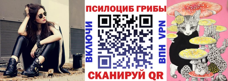 Псилоцибиновые грибы мицелий закладка Далматово